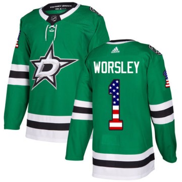 Authentic Adidas Men's Gump Worsley Dallas Stars USA Flag Fashion Jersey - Green