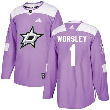 Authentic Adidas Youth Gump Worsley Dallas Stars Fights Cancer Practice Jersey - Purple